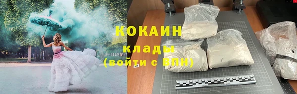 гидра Новодвинск