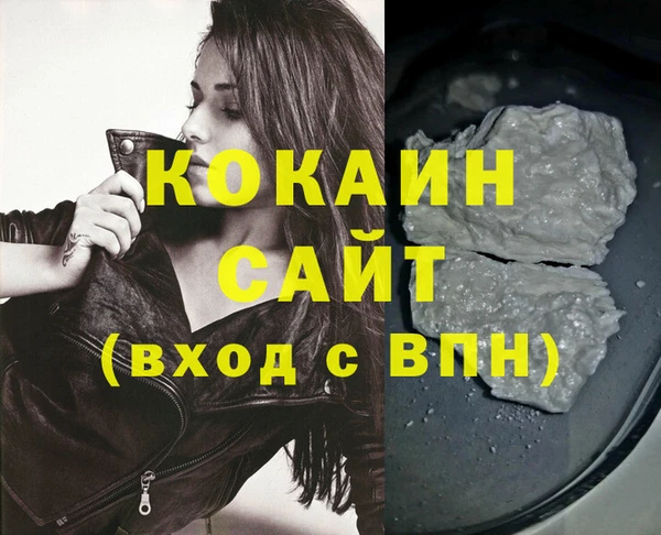 гидра Новодвинск