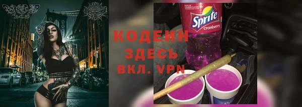 гидра Новодвинск
