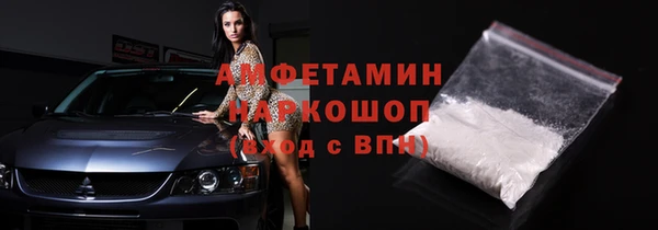 гидра Новодвинск