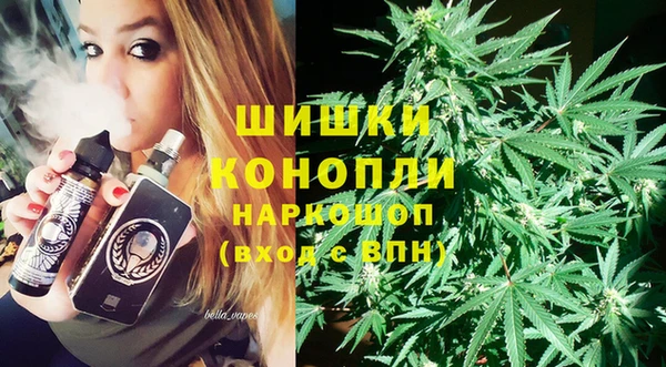 гидра Новодвинск