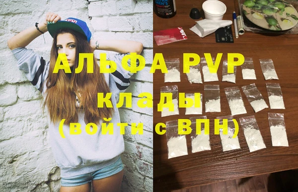 гидра Новодвинск