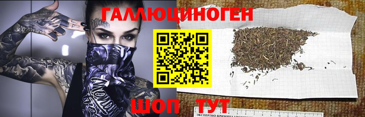 Псилоцибиновые грибы Psilocybe  Вход с VPN  Псилоцибиновые грибы ЛСД  Ногинск 